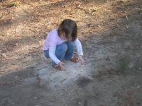 PA204965.JPG