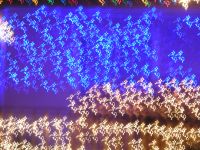 PC245556.JPG